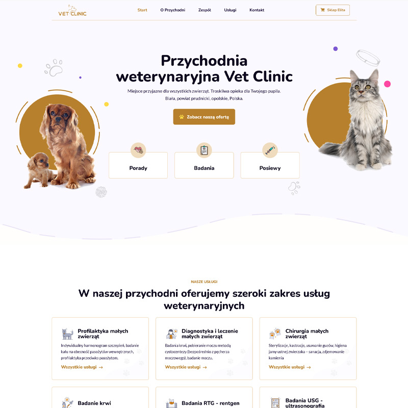 Strona internetowa Przychodnia weterynaryjna Vet Clinic w Białej