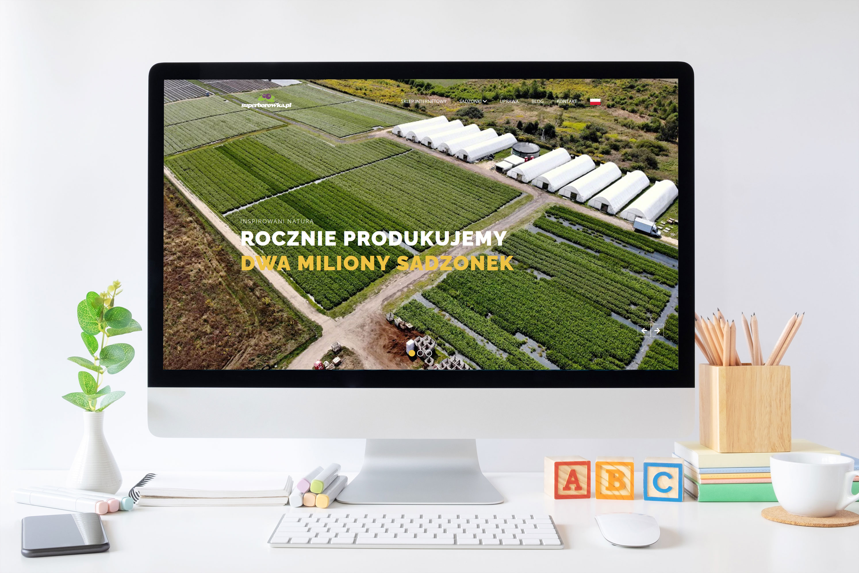 Superborówka - szkółka borówki amerykańskiej – widok zrealizowanej strony internetowej 1