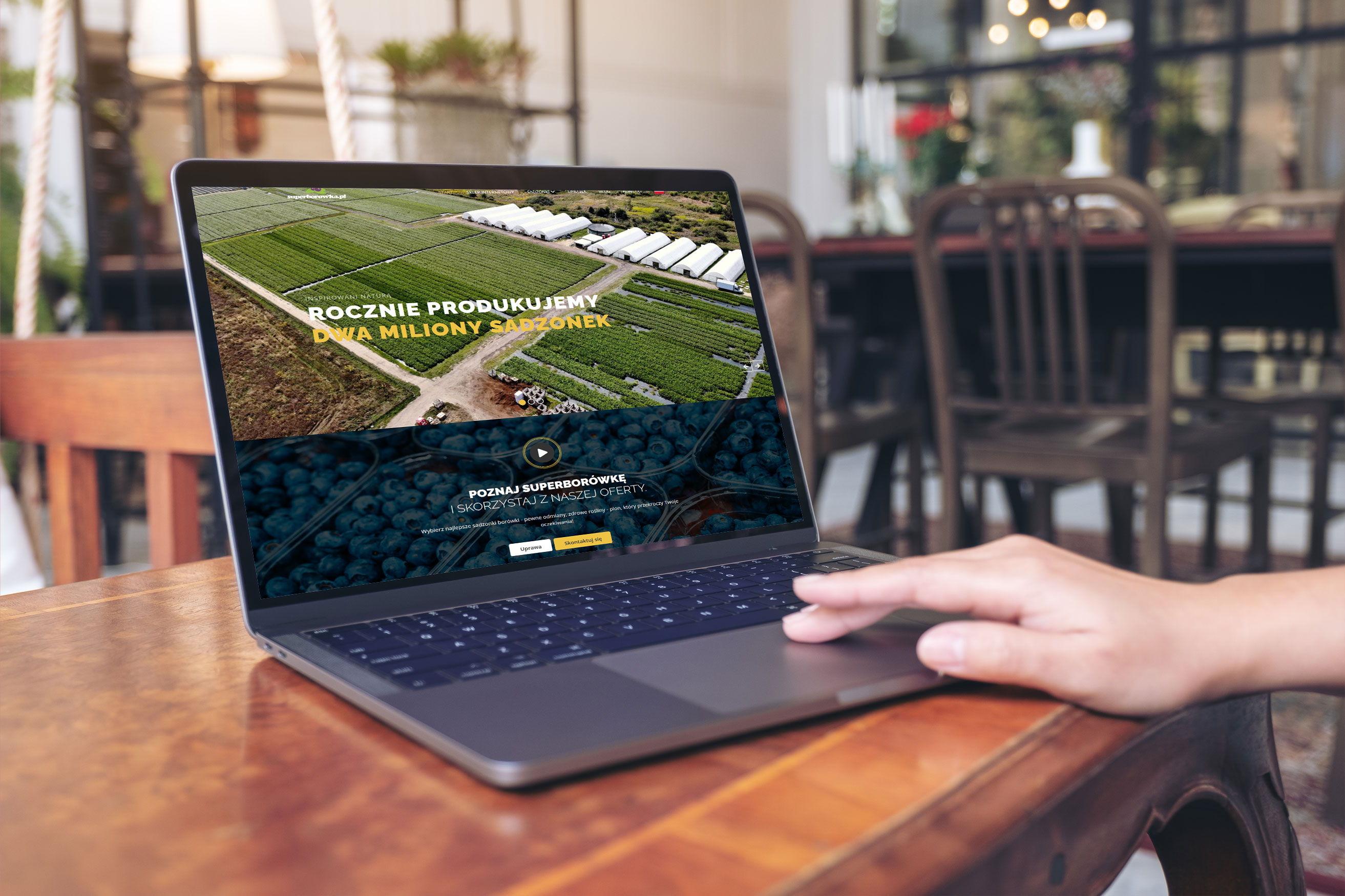 Superborówka - szkółka borówki amerykańskiej – widok zrealizowanej strony internetowej 2