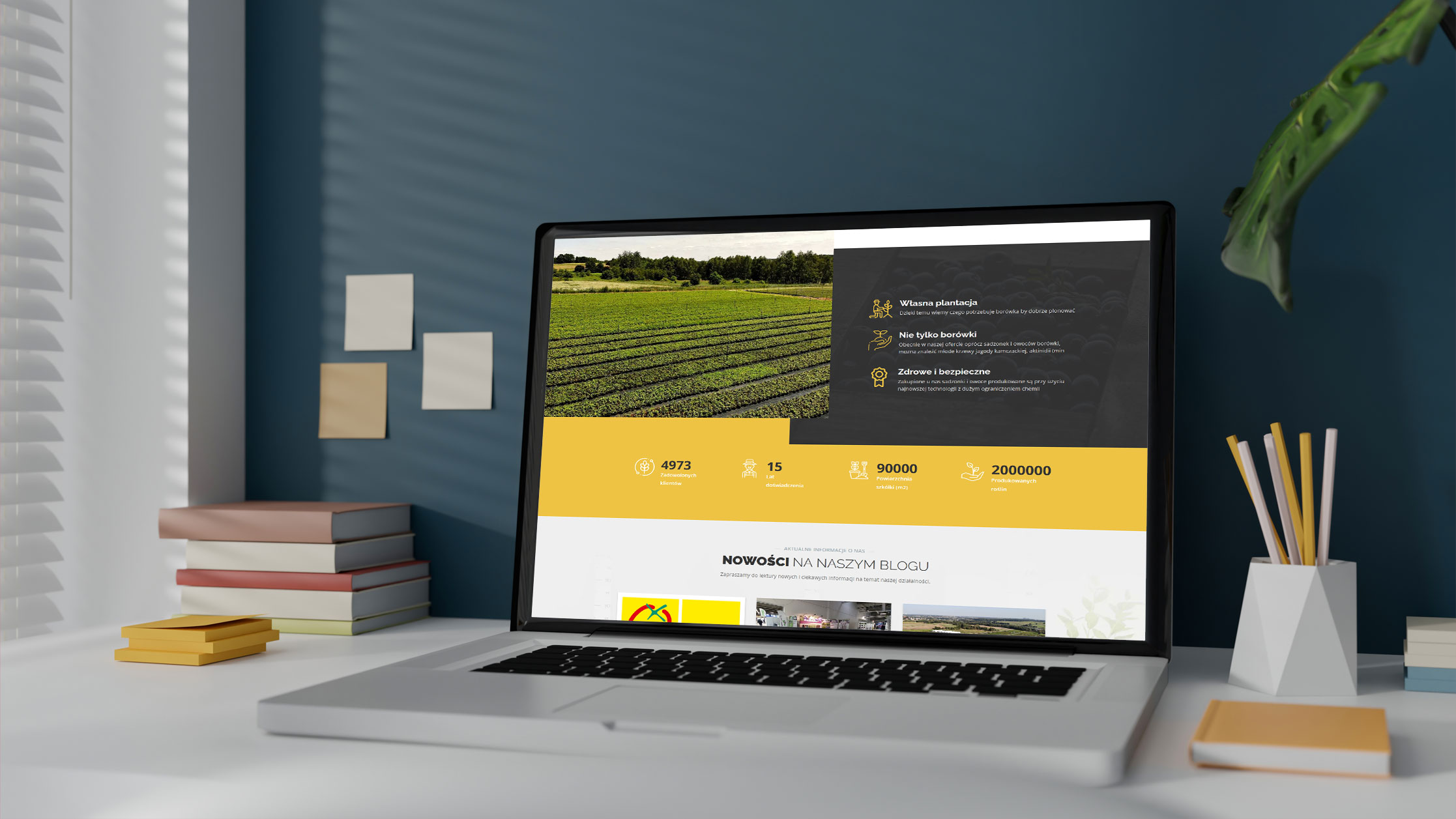 Superborówka - szkółka borówki amerykańskiej – widok zrealizowanej strony internetowej 3